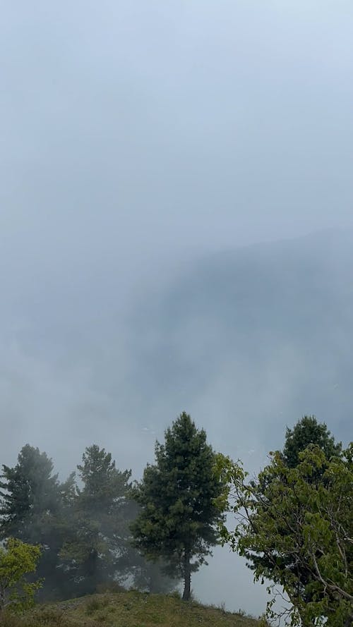 Time Lapse of Low Clouds in a Mountain Landscape 