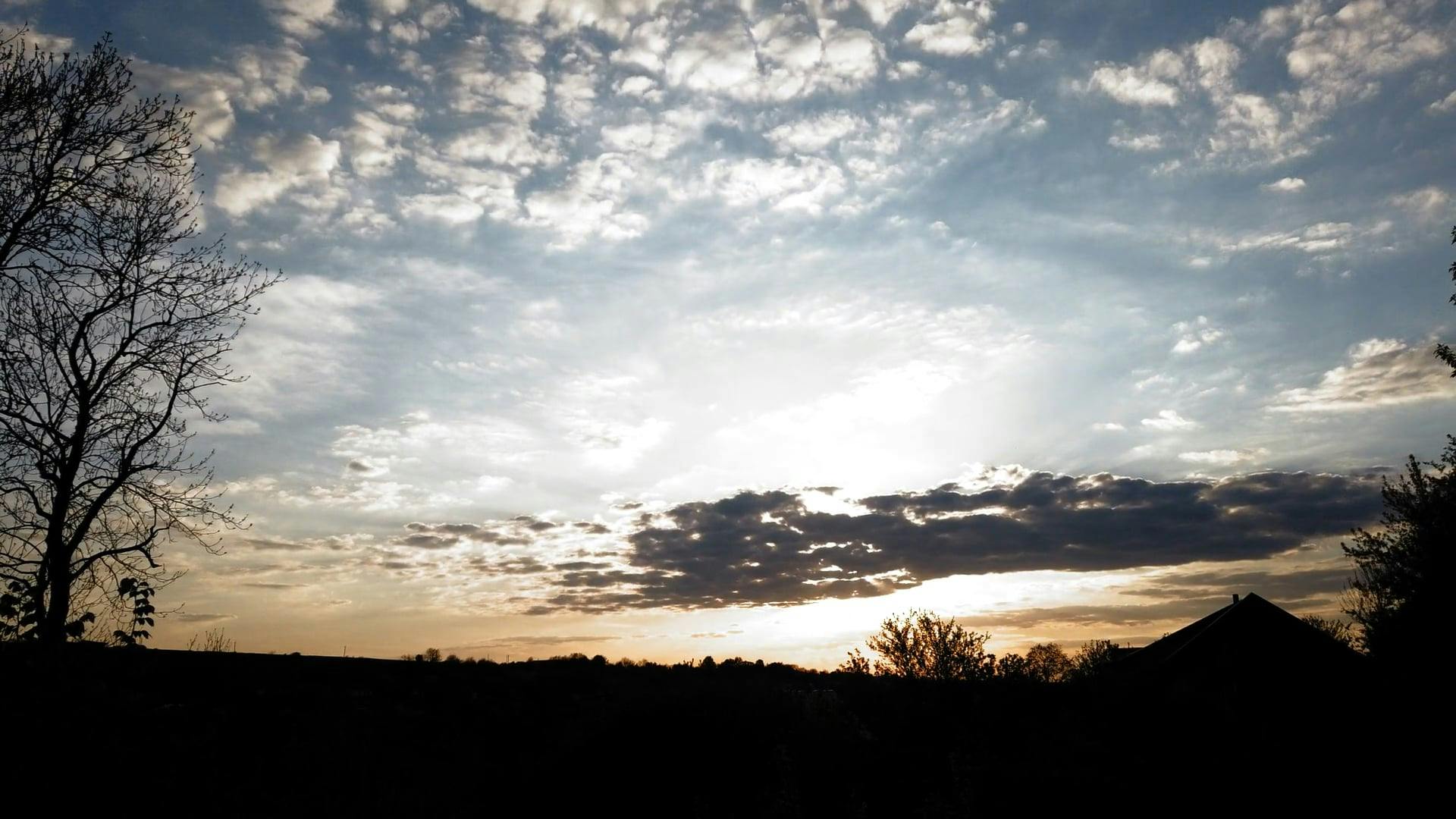 the sun sets over a field with trees in the background 17114417