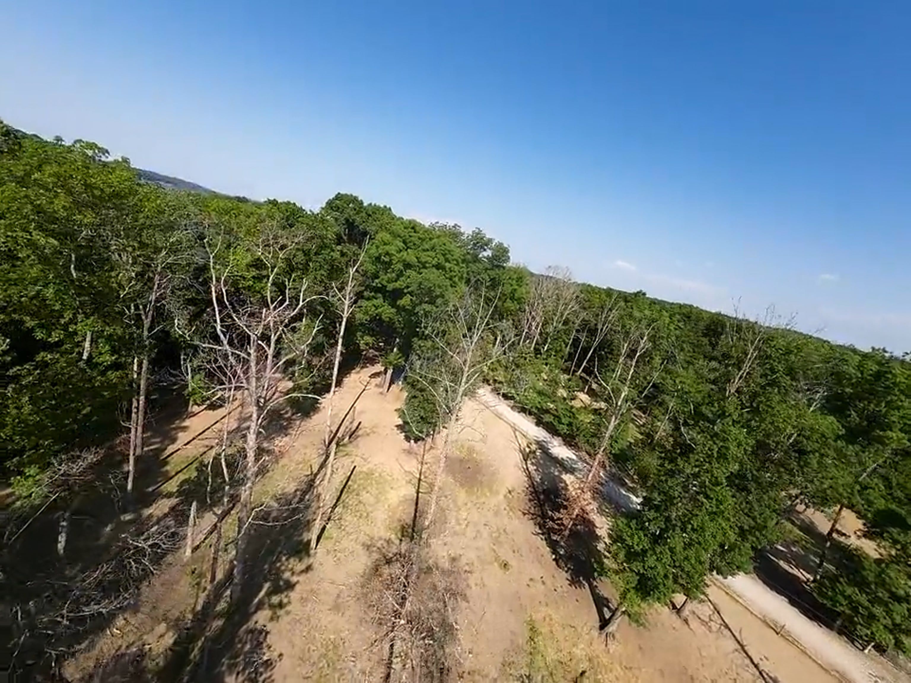 Video by Jaxon Matthew Willis