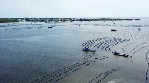 Rows of Buoys and Fishing Boats Floating near the Coast of Cần Giờ, Vietnam 