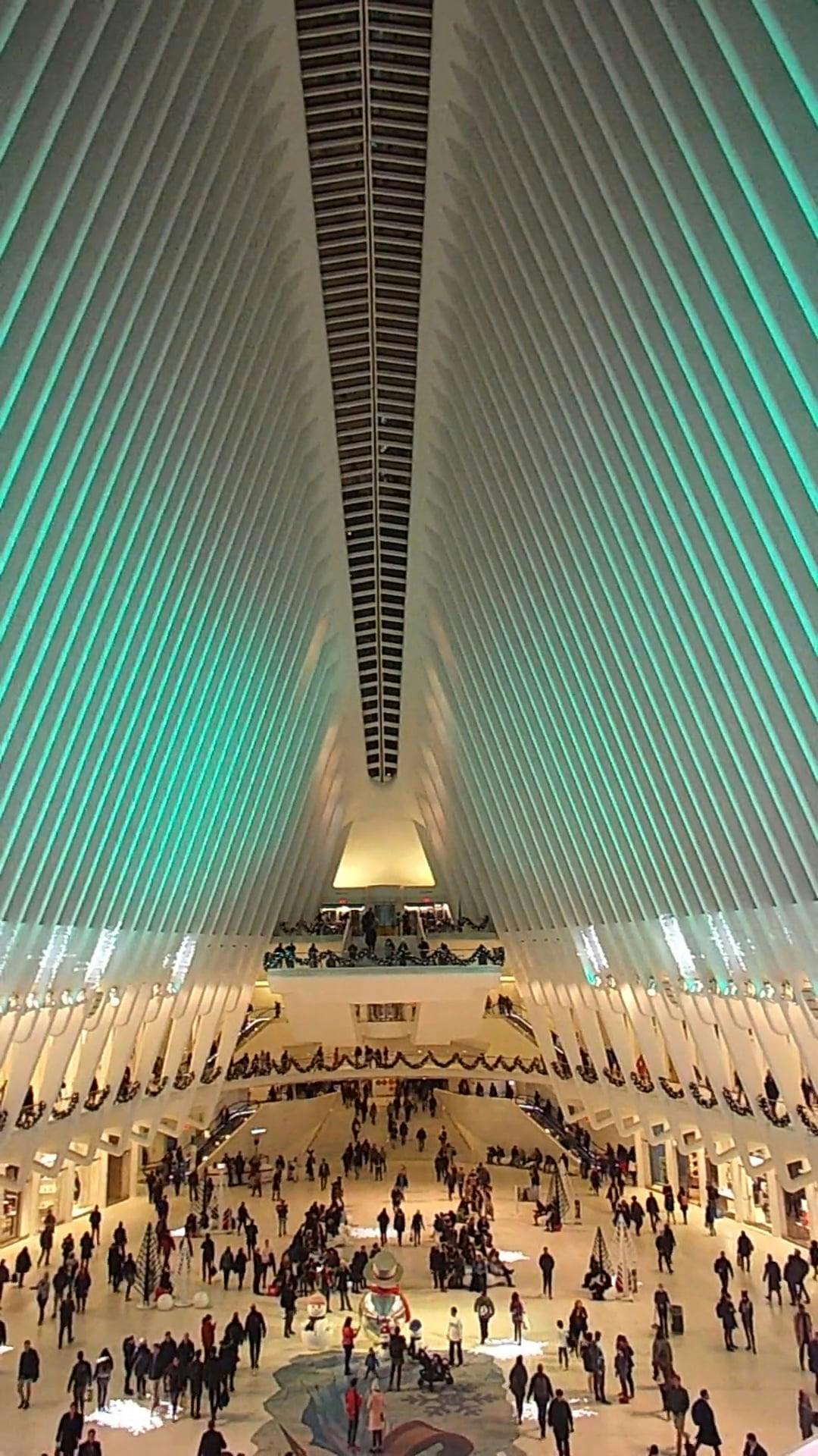 Video by Ronald Hayward