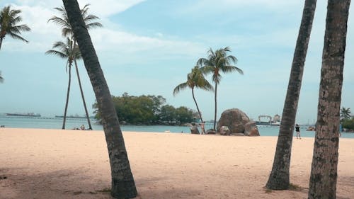 Panning Shot of a tropical beach in Singapore