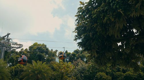 Gondola through rainforest in SIngapore