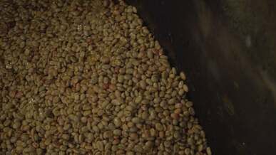 a close up of a large pile of beans