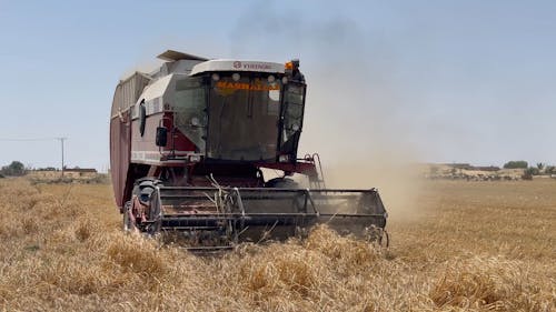 A Combine Harvester Working on a Wheat Field 