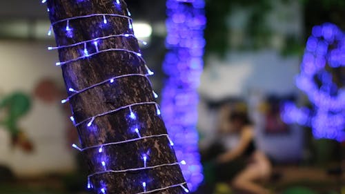 String Of Christmas Lights Around A Tree Trunk