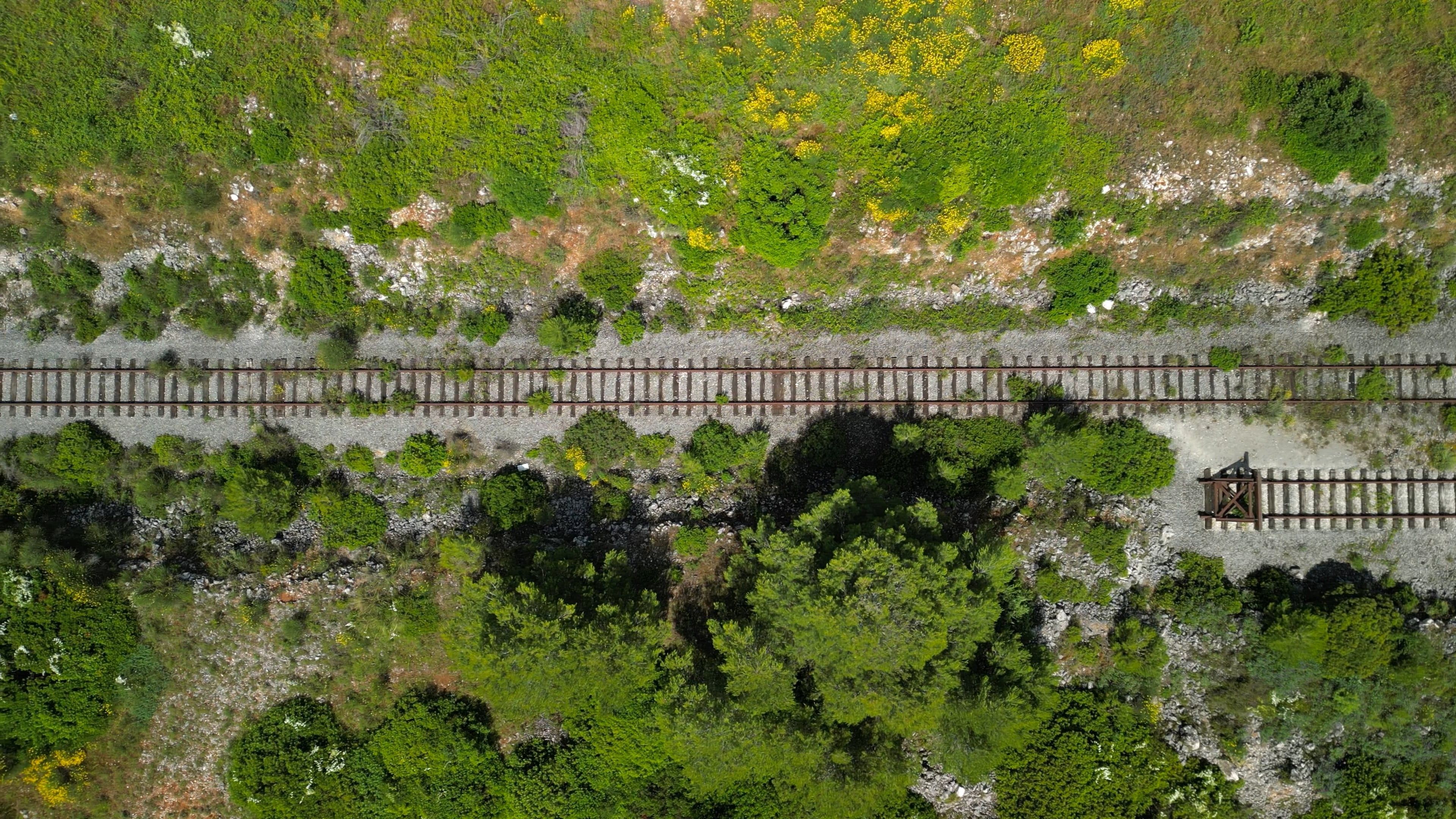 An aerial view of a train track in the middle of a forest Free Stock ...