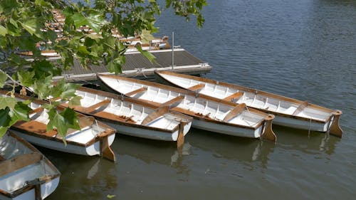 Rowing Boats On The Water