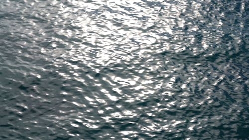 小さな波と水の波紋
