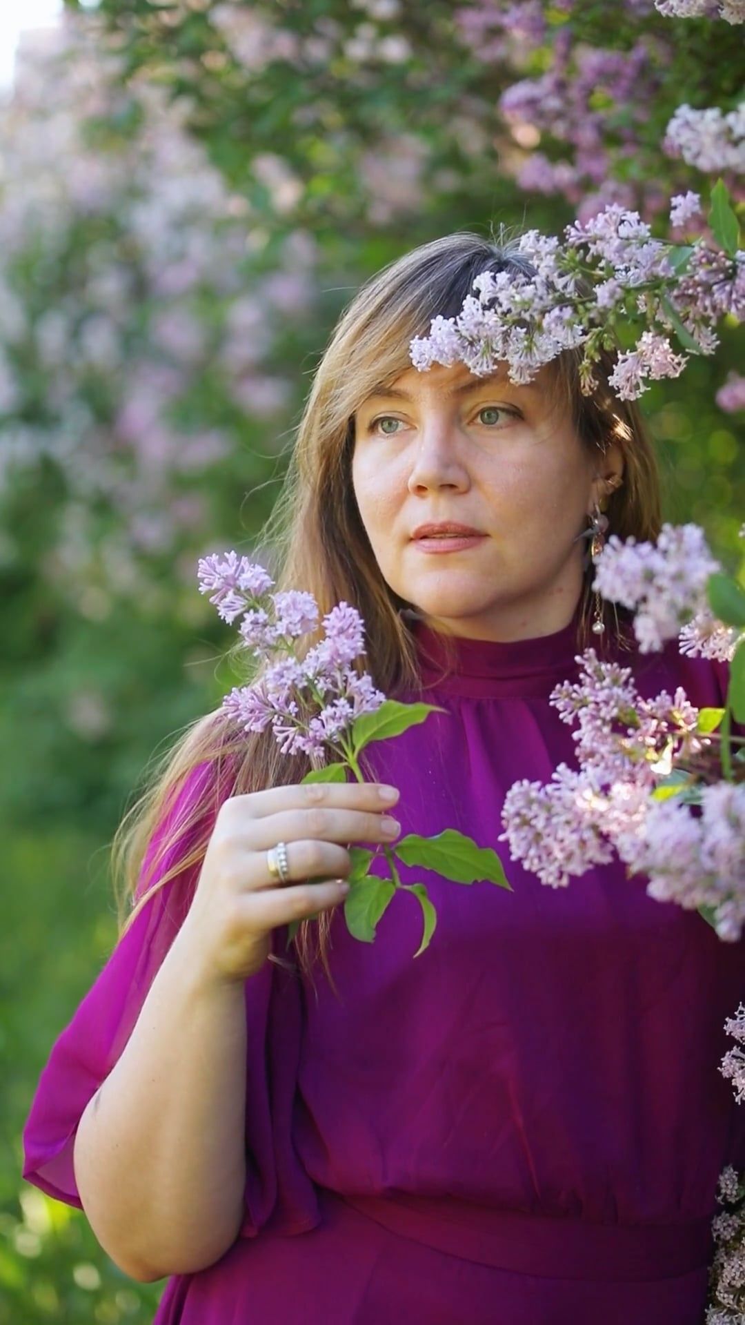 A woman in purple dress holding flowers in front of a bush Free Stock ...