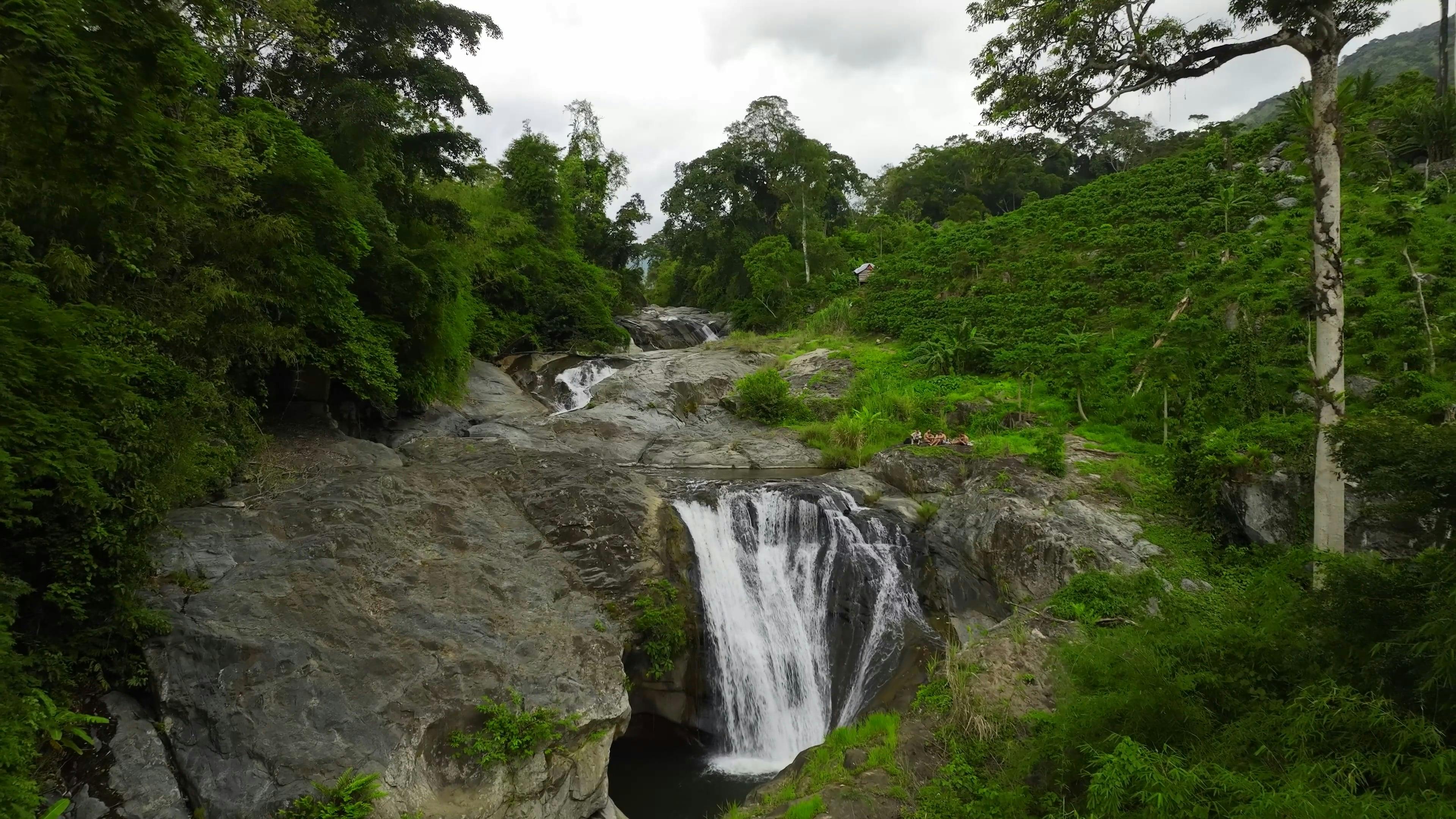 Video by Serg Alesenko