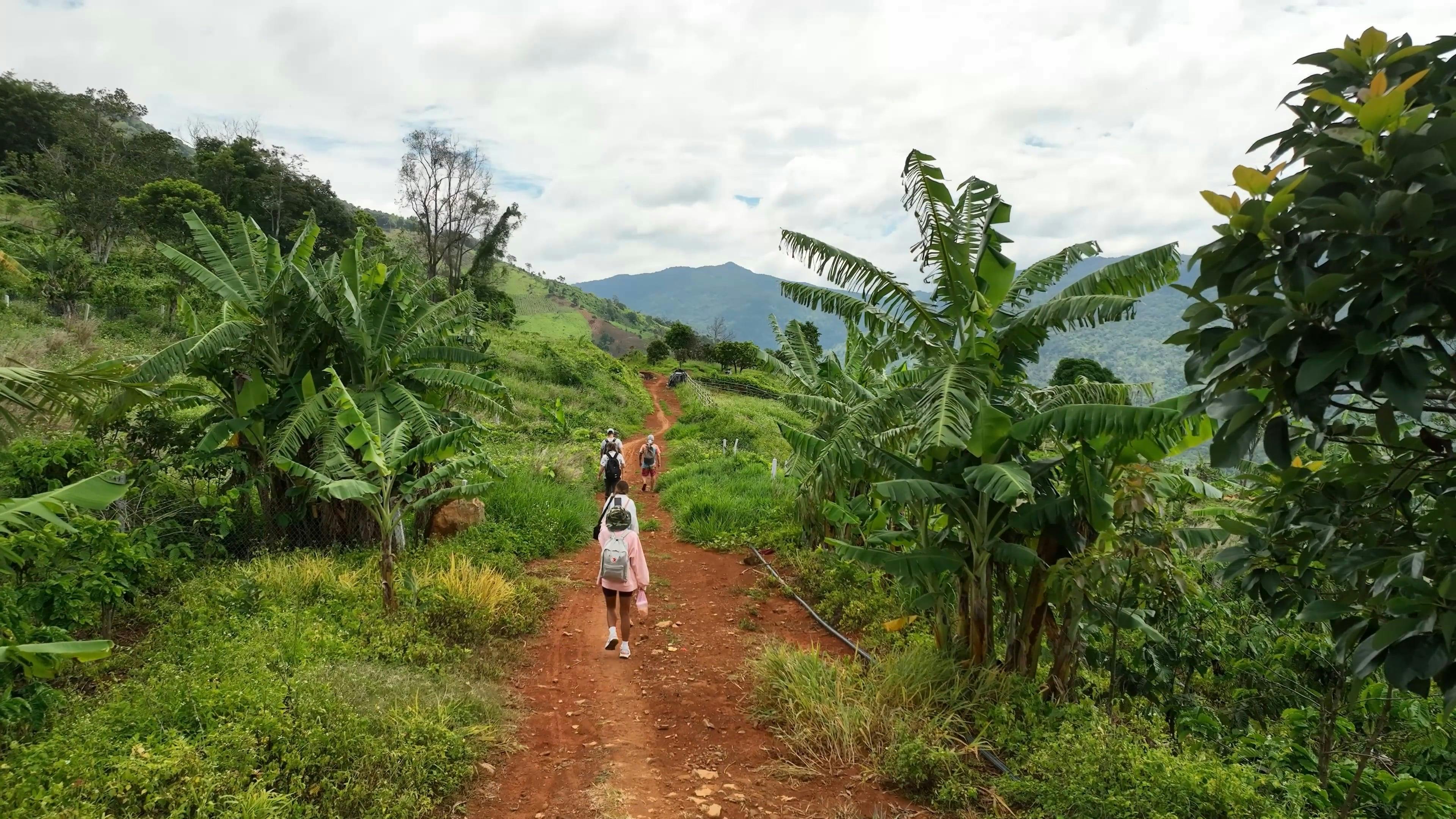 Video by Serg Alesenko