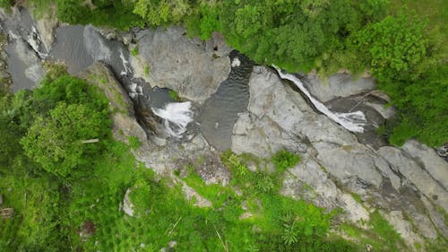 Drone View of a Person Swimming in a Forest River 
