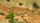 dry soil