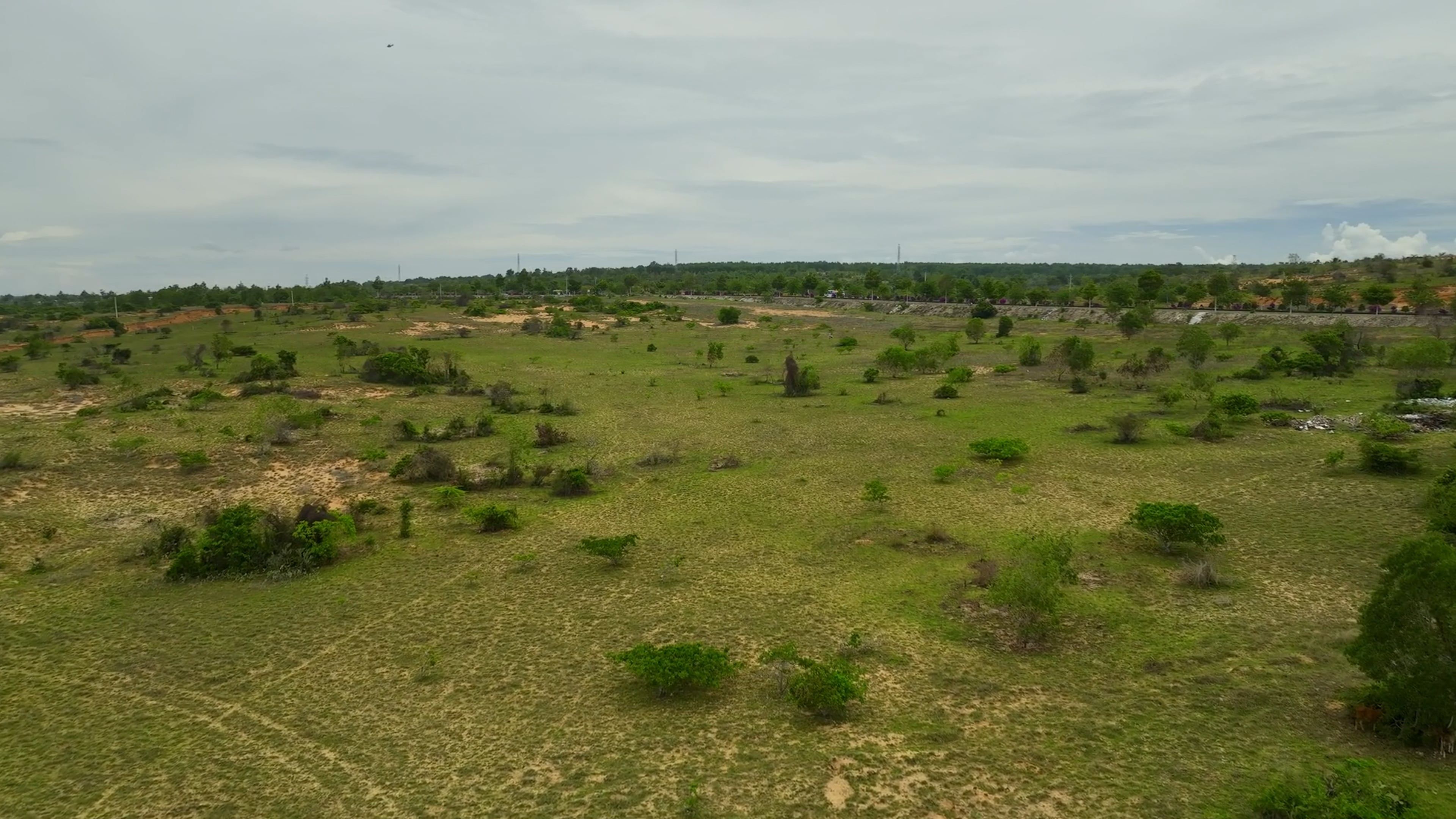 An aerial view of a large field with trees and grass Free Stock Video ...