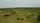 grassland