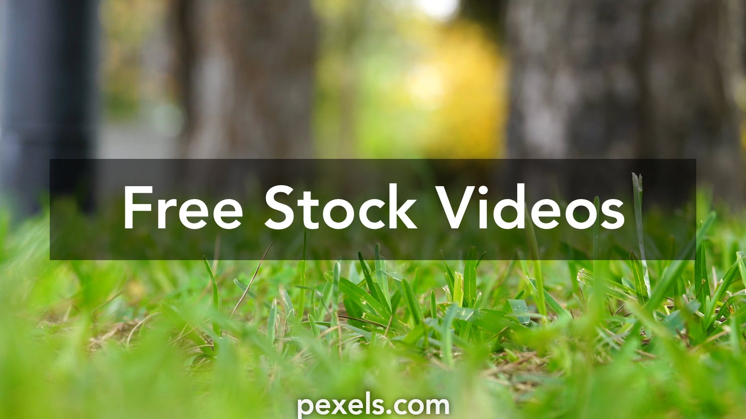 Grass Videos, Download The BEST Free 4k Stock Video Footage & Grass HD  Video Clips