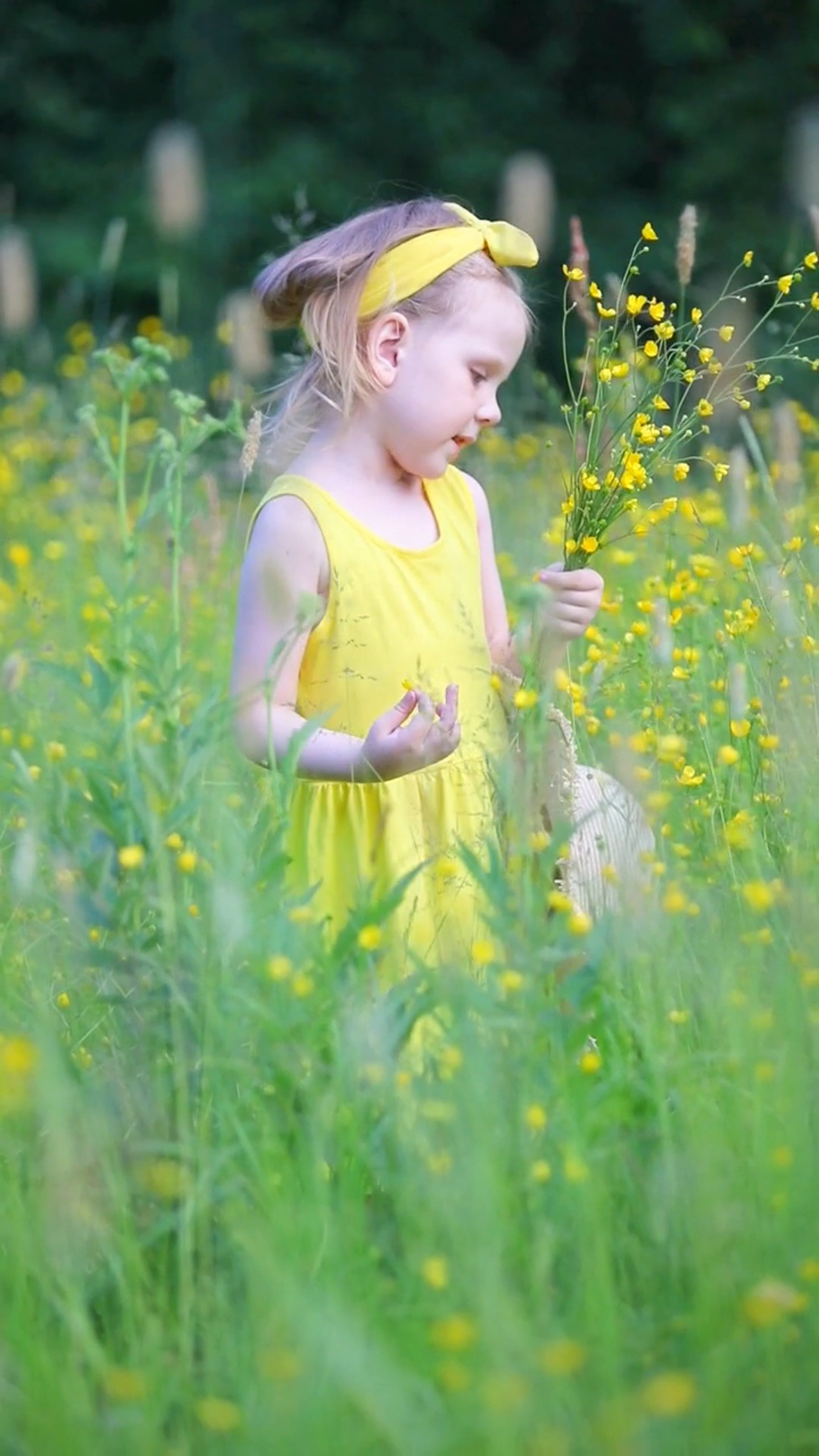 A little girl in a yellow dress is standing in a field of yellow ...