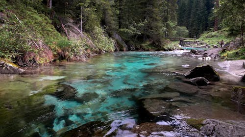 Spring Landscape on a River in the Dolomites with Turquoise Water