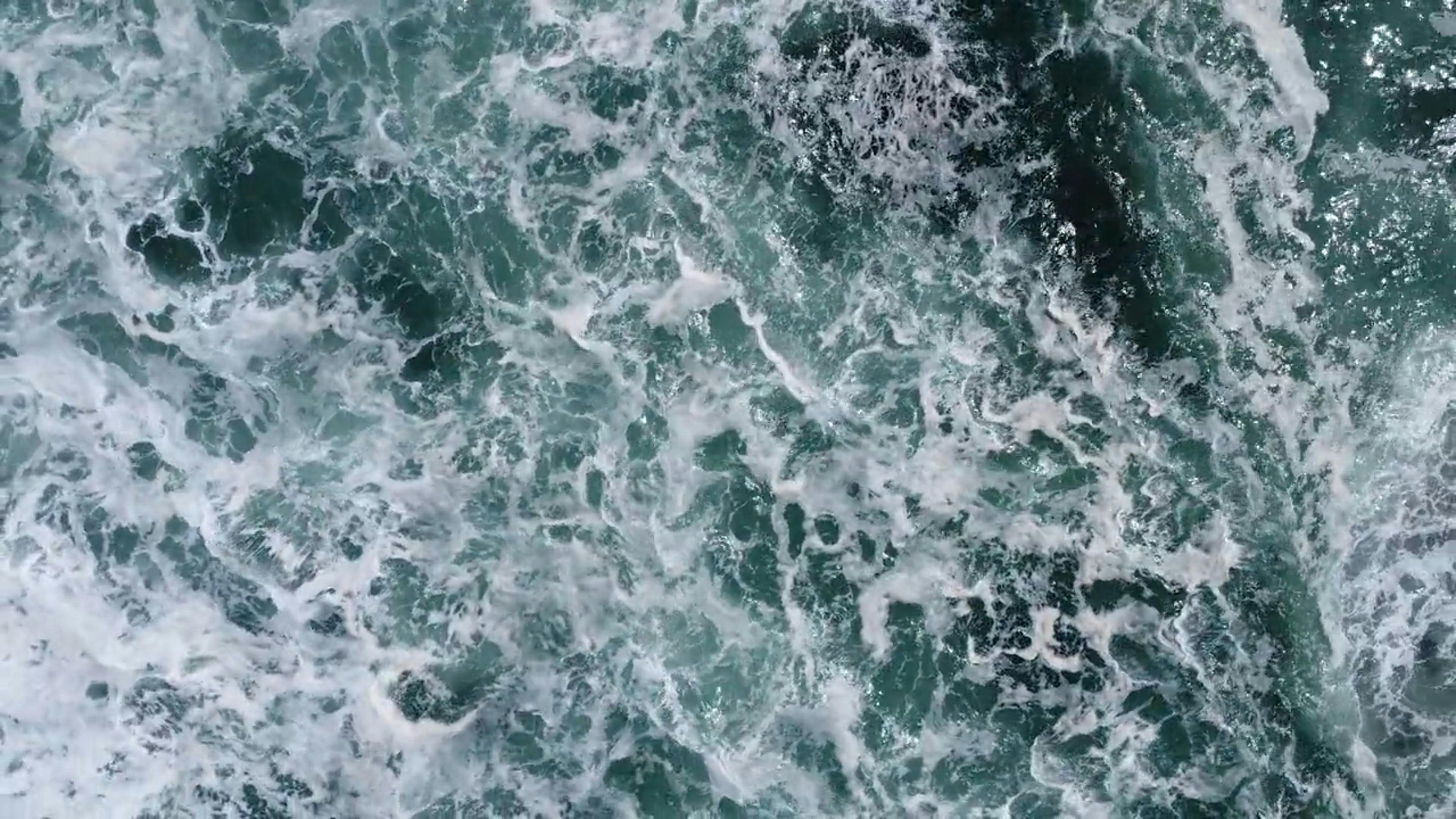 Video by Esteban Llanos