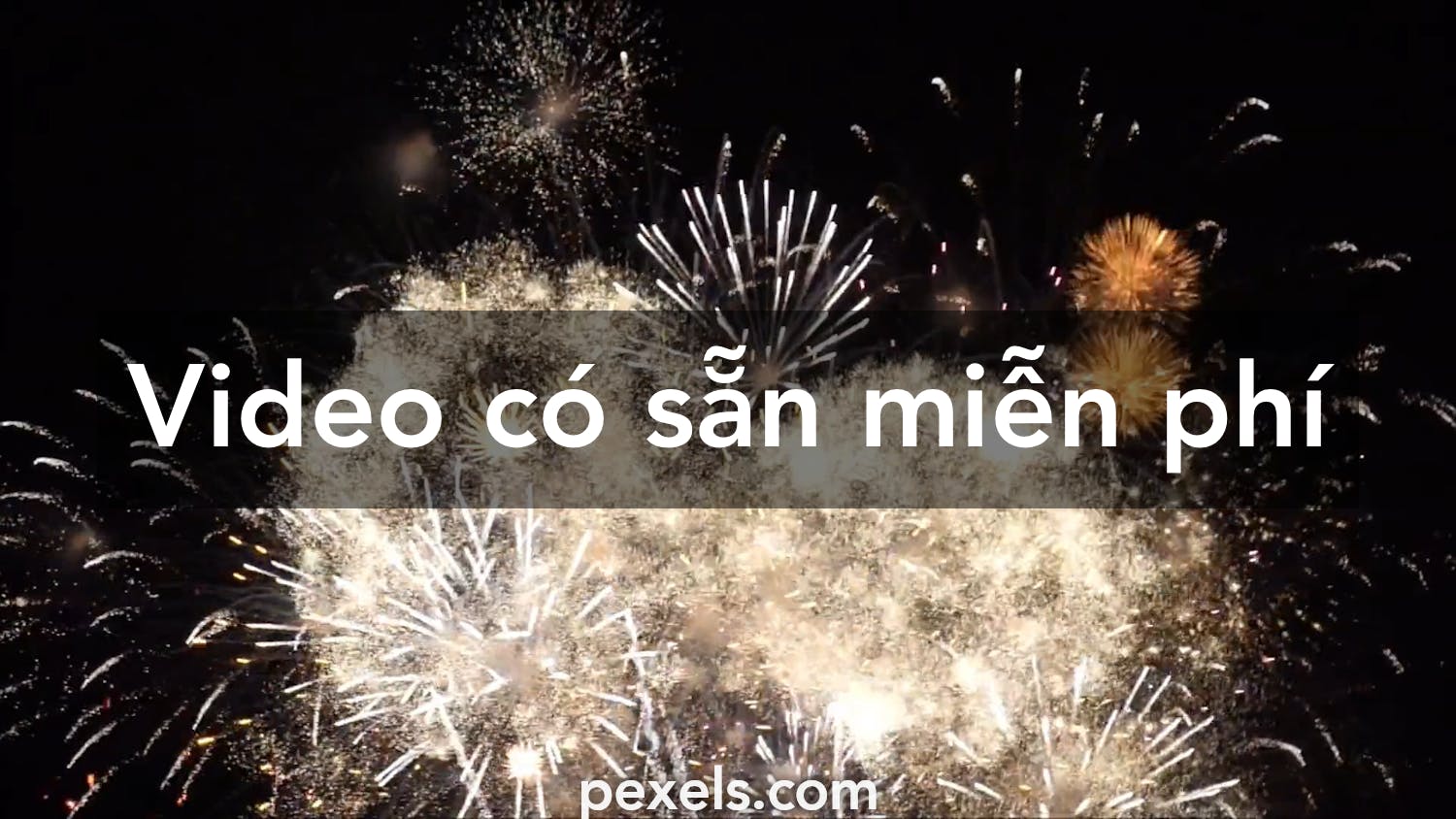 60.000+ video hay nhất về Chúc Mừng Năm Mới · Tải xuống miễn phí ...