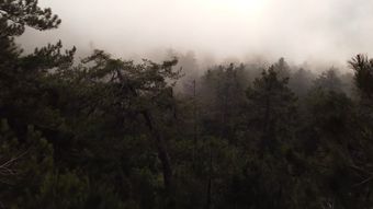 黄山高清视频免费下载视频素材视频素材视频素材
