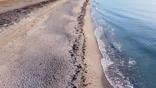 Beaches Videos, Download The BEST Free 4k Stock Video Footage & Beaches ...