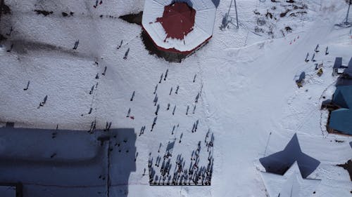 Top View of People Walking in the Snow 