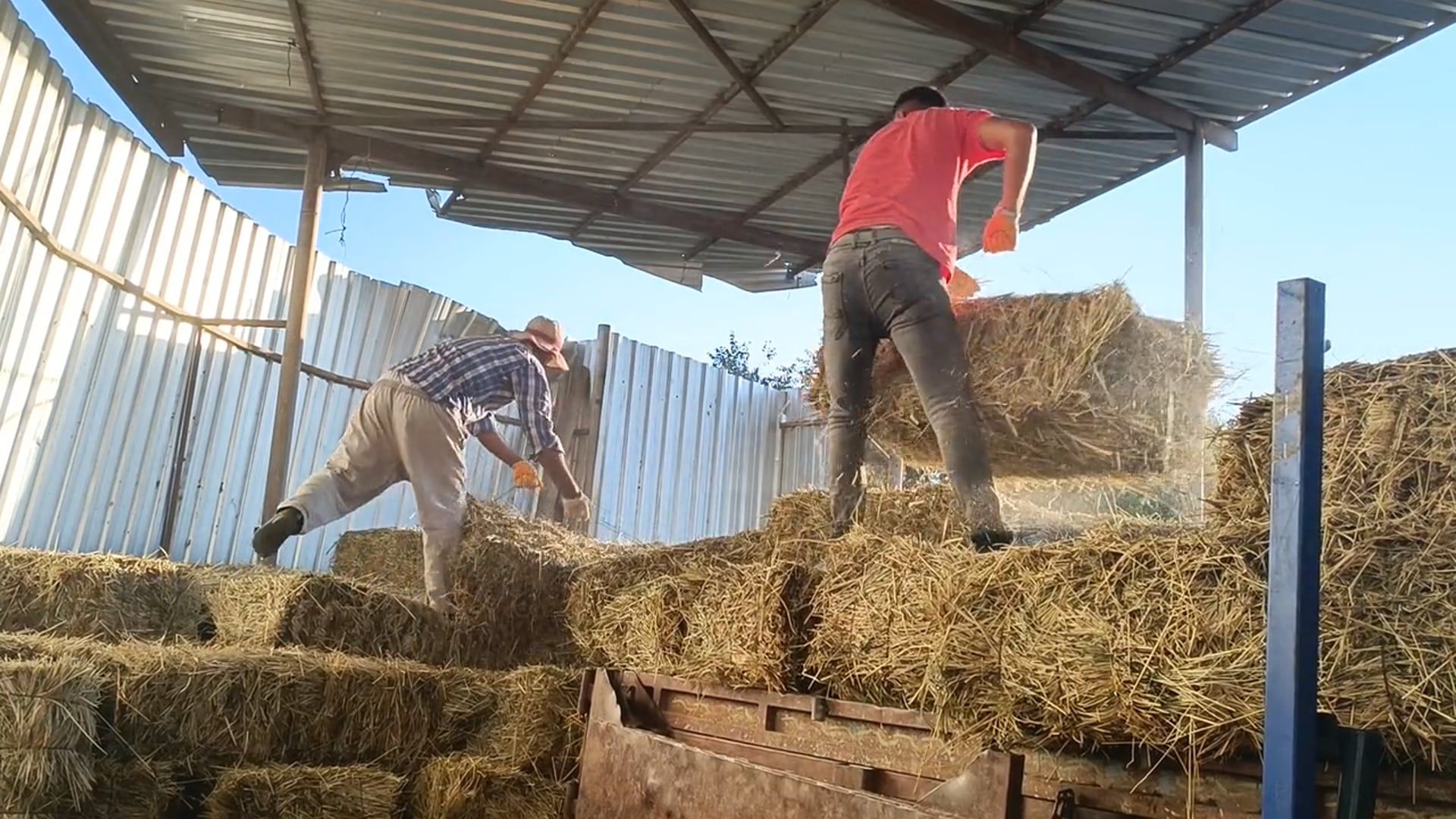 Two men are working on hay in a barn Free Stock Video Footage, Royalty ...
