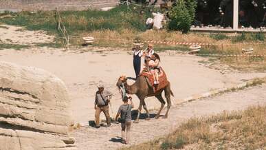 people riding on an elephant in a park