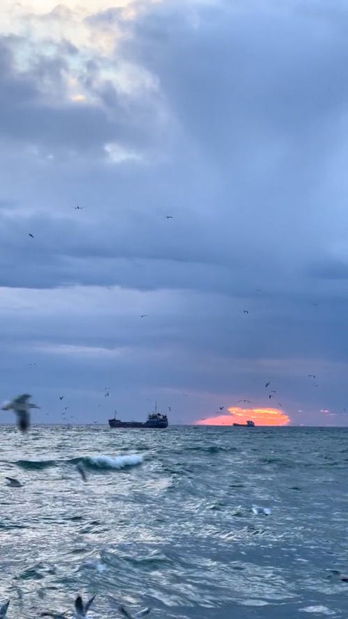 Seagulls Flying under a Dramatic Sunset Sky 