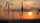 summer sunset
