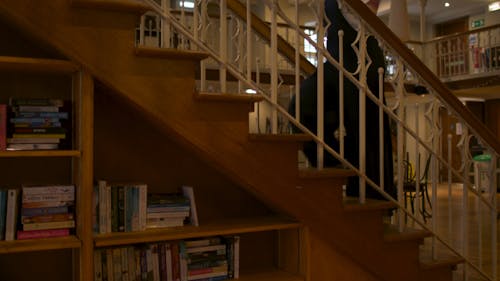 Woman walking up stairs with bookcase underneath