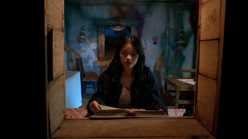 A Young Woman Reading a Book by the Window