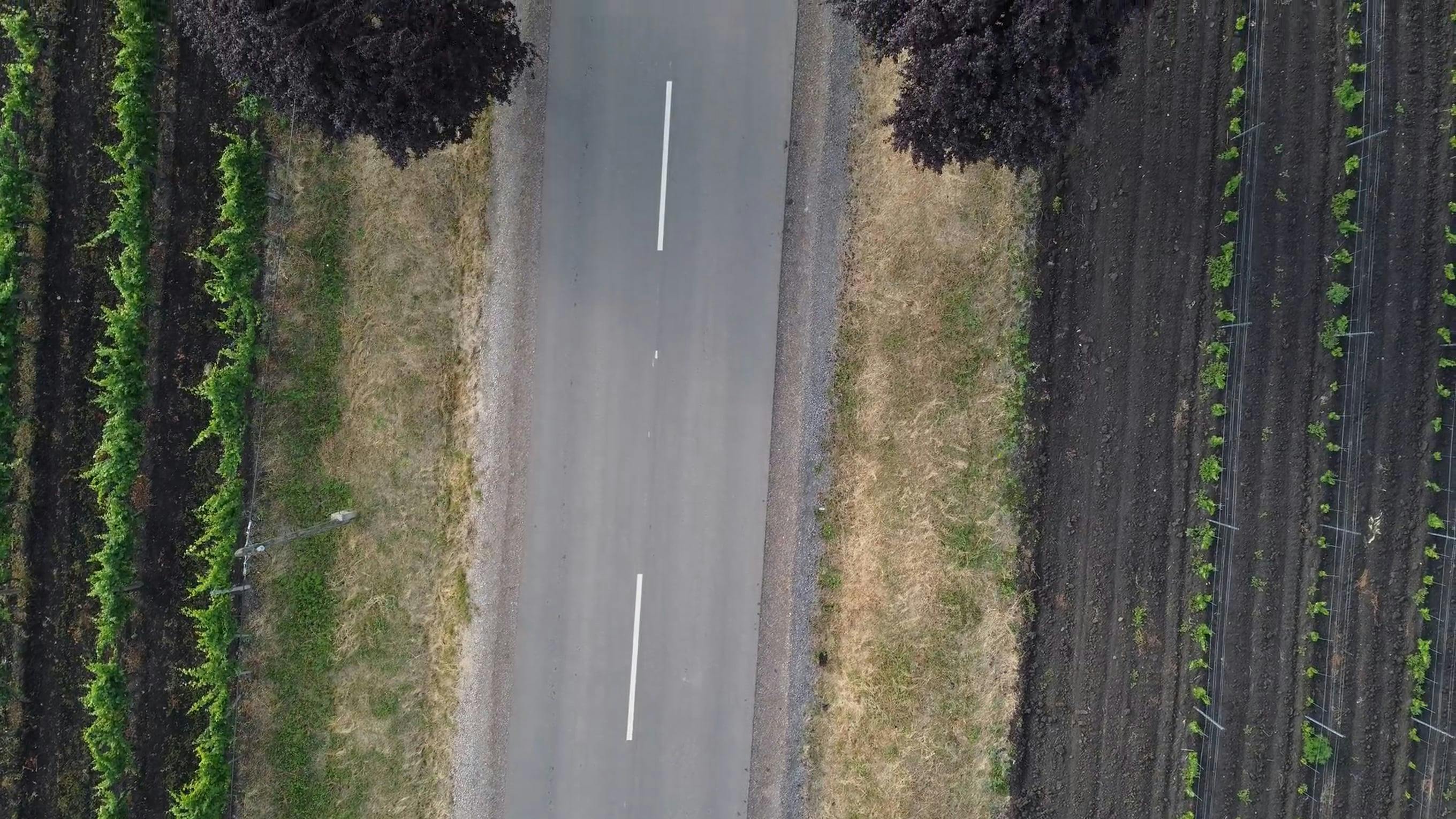 Video by Attila Navratil