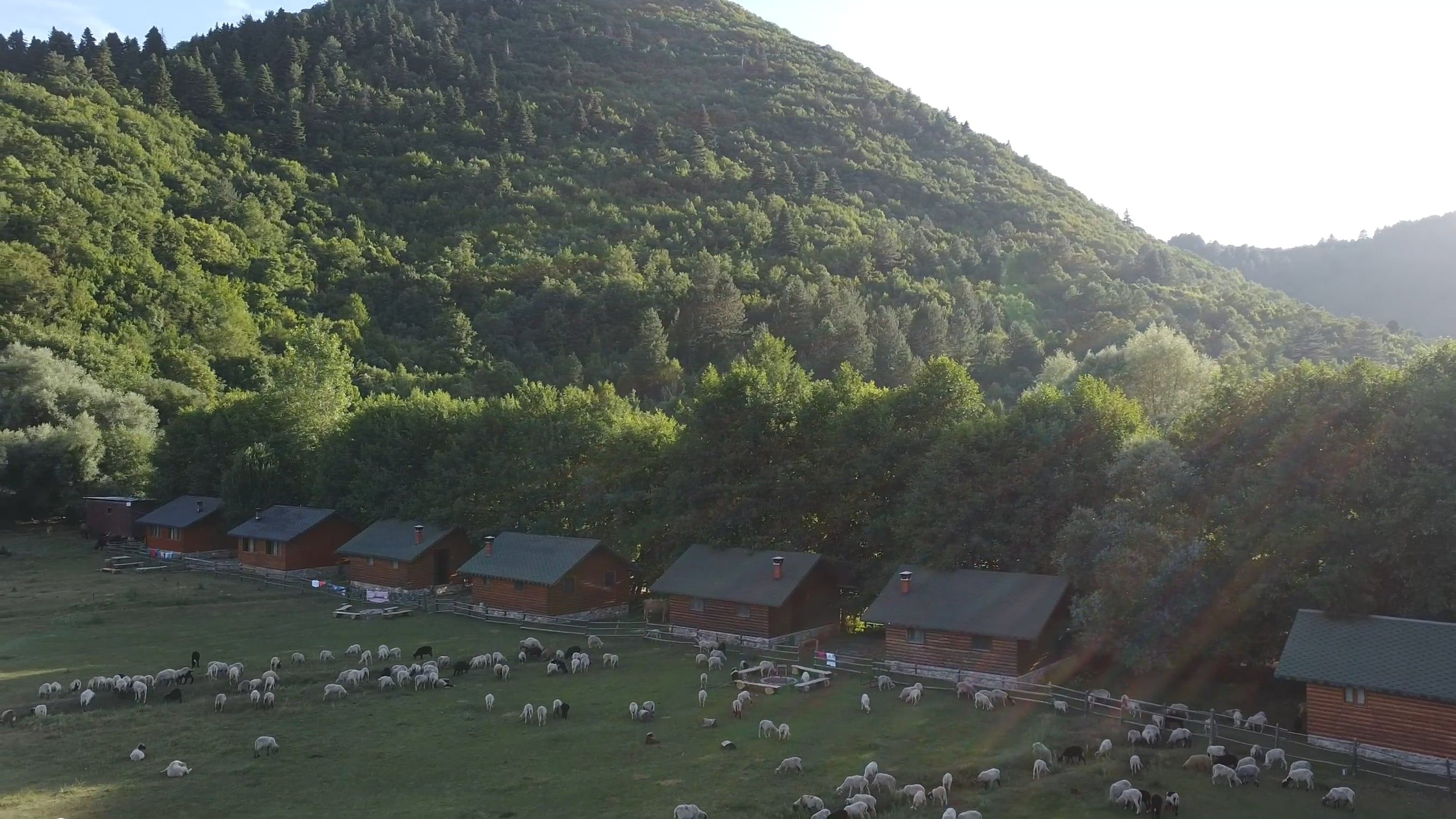 Video by Adili Family
