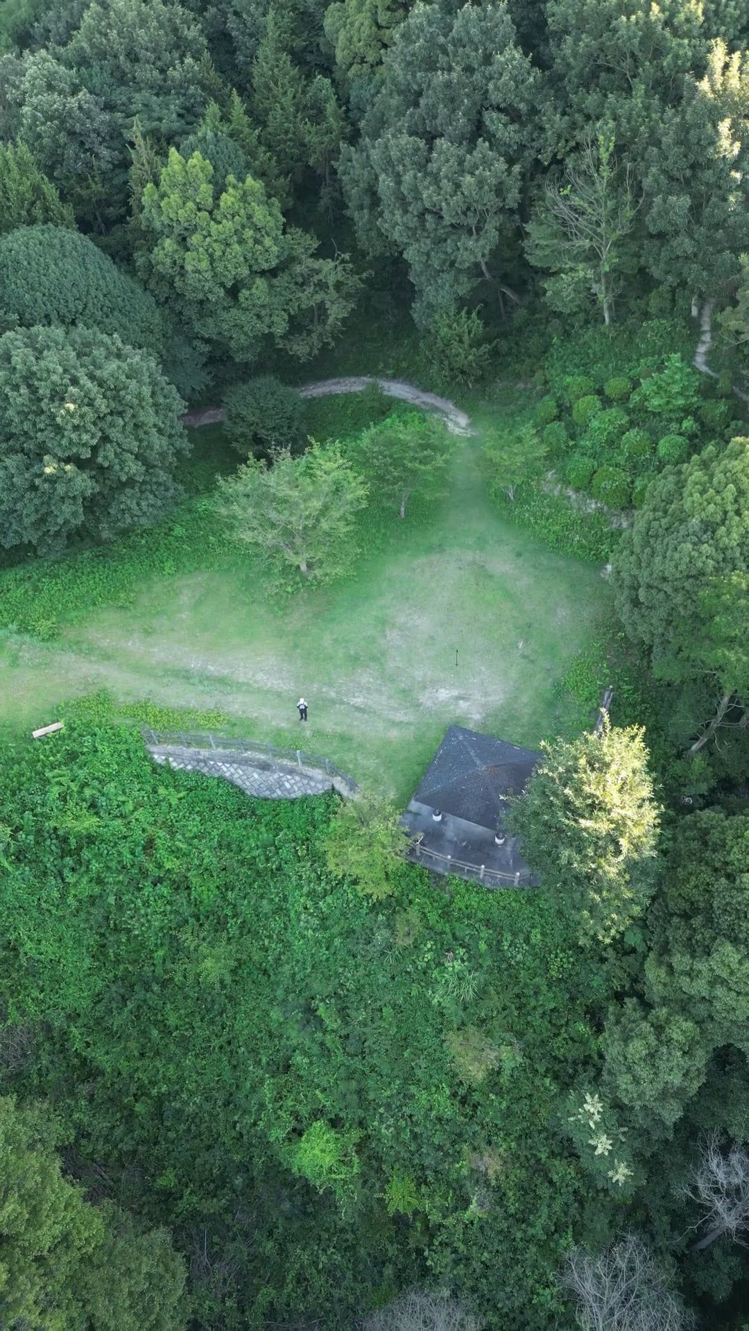 An aerial view of a green field with trees Free Stock Video Footage ...