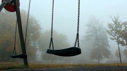 A Park's View Of Autumn Trees On A Foggy Day