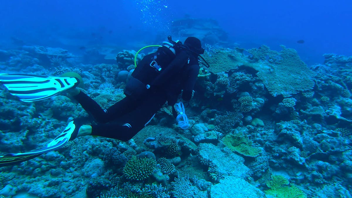 Header Videos, Download The BEST Free 4k Stock Video Footage & Header ...