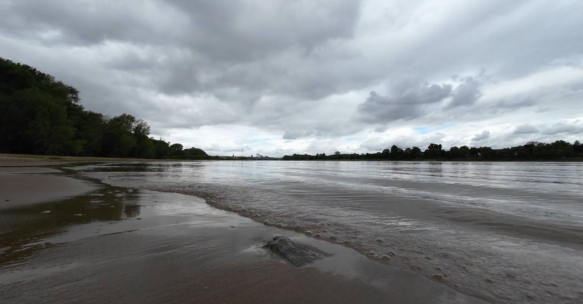 Rain Rove's River on rainy day little waves raindrops Free Stock Video Footage ...