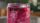 berry