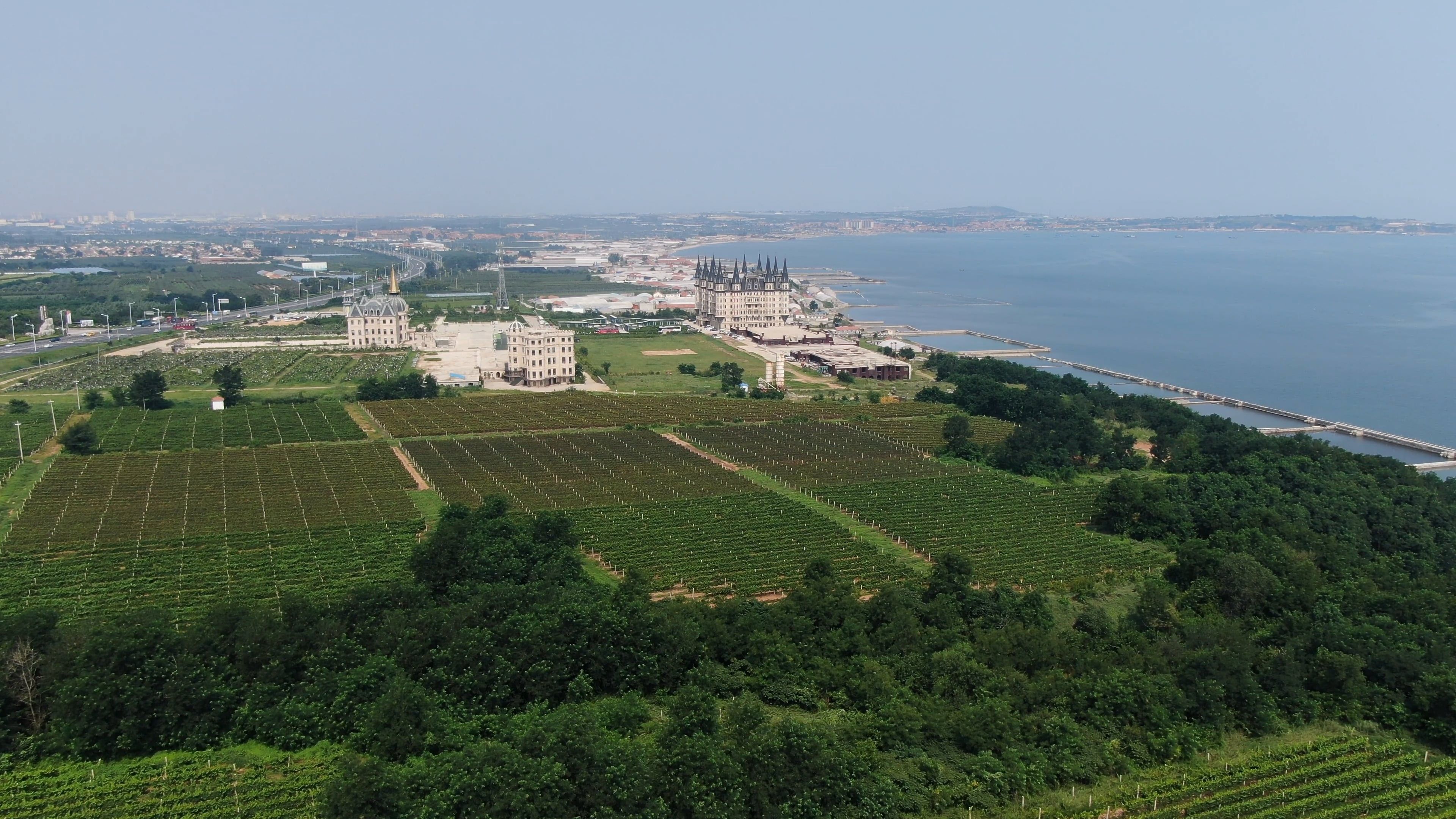 Vineyard video