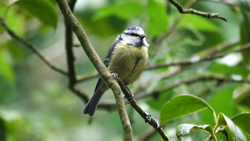 Laura Sommaruga Tits Videos, Download The BEST Free 4k Stock Video Footage & Laura Sommaruga