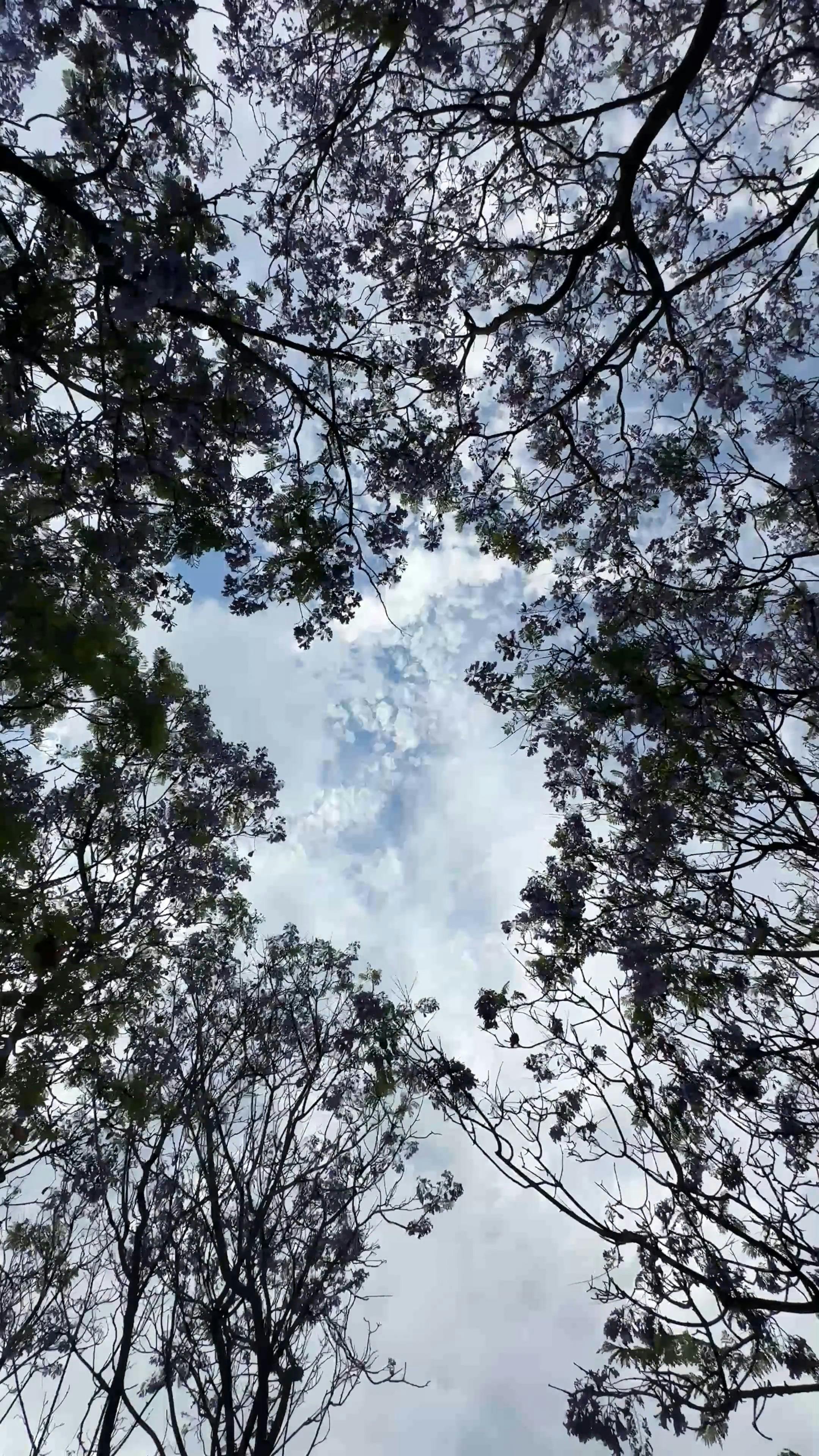 Video by Nikolay Sobolev