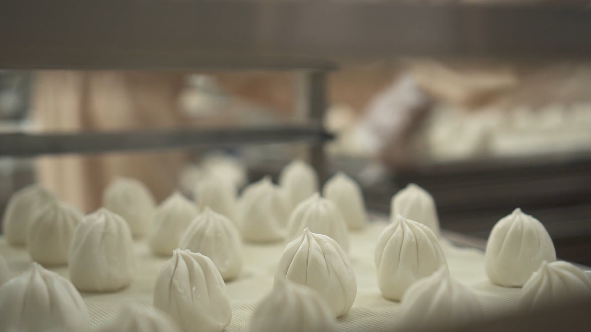 A factory with dumplings being made in the oven Free Stock Video ...