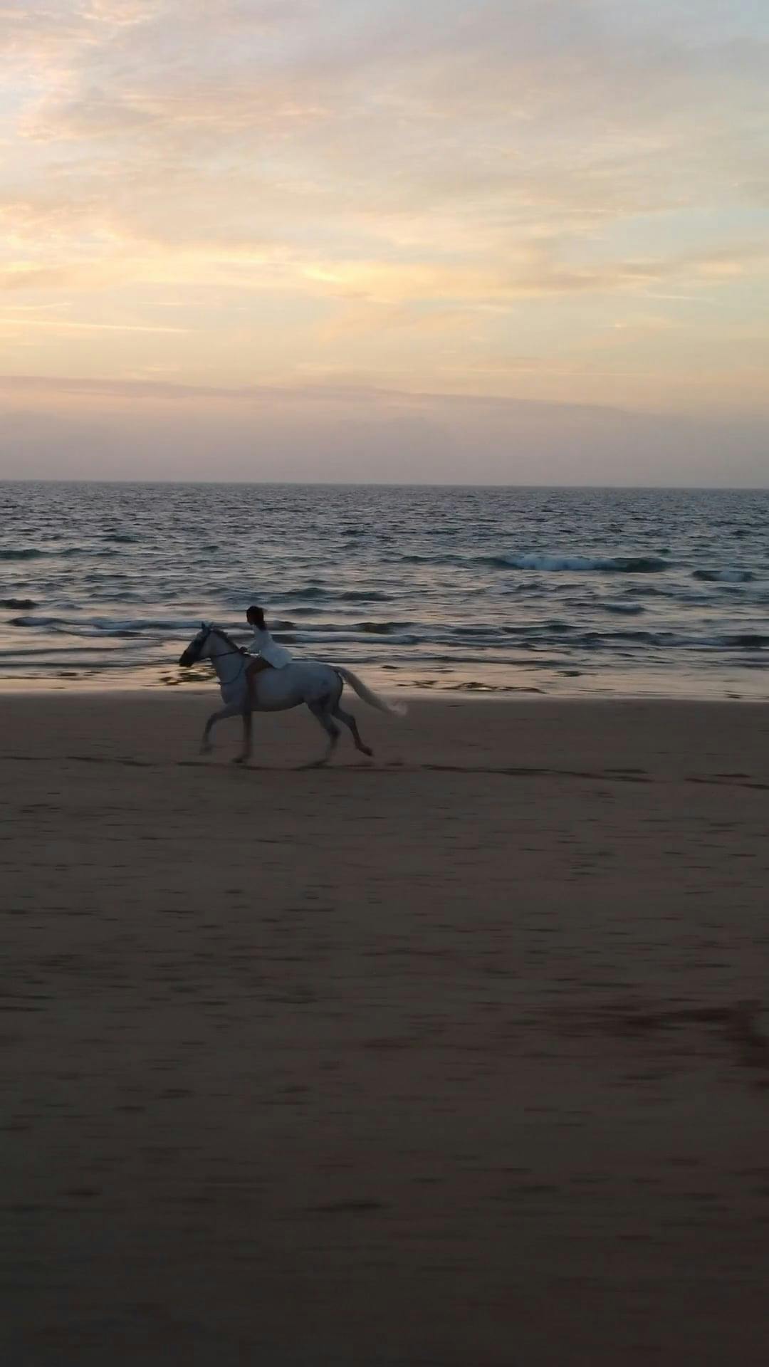 Video by Yasin Kayag