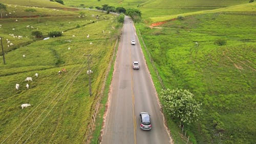 Carros passando na rodovia