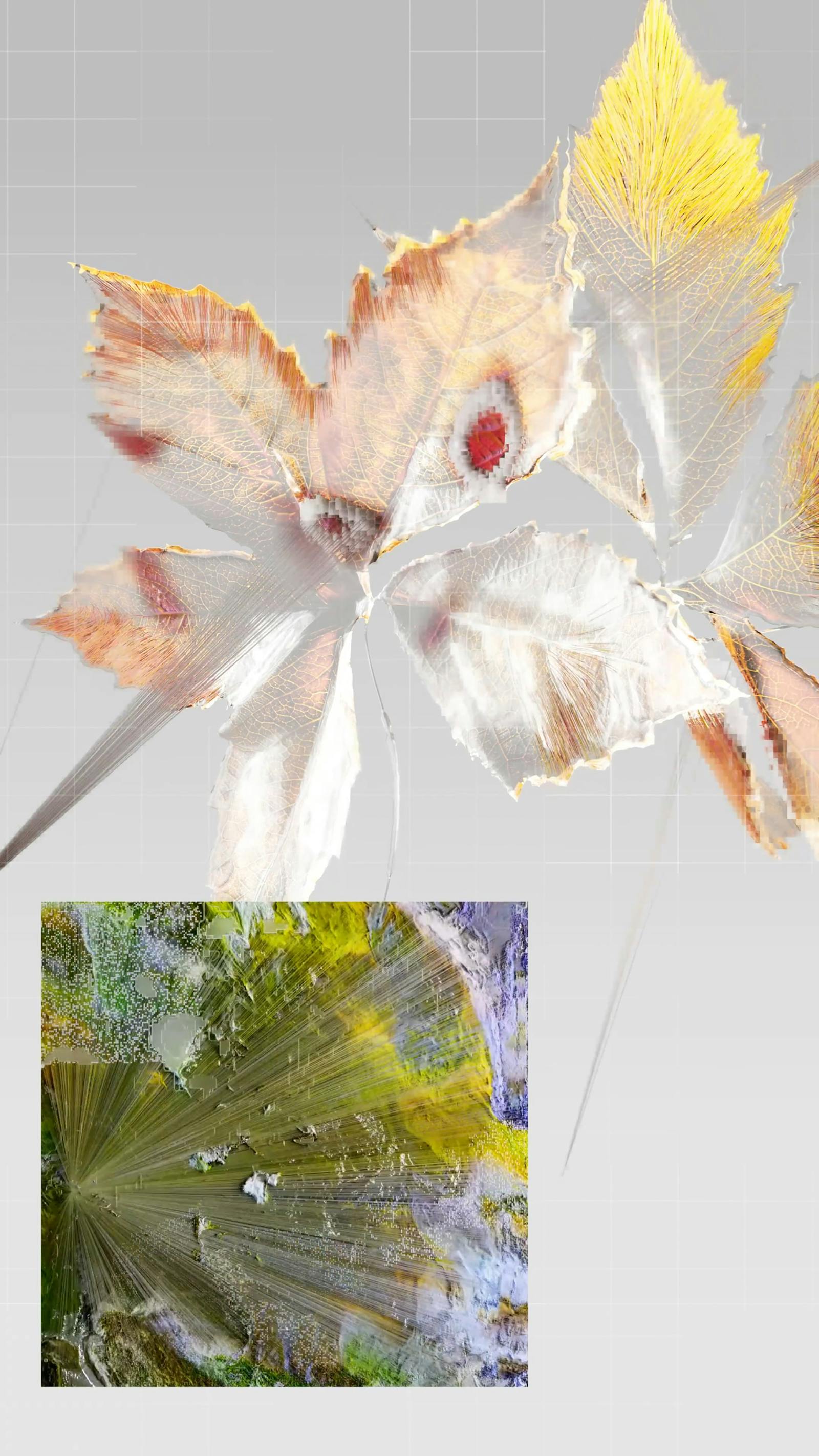 Algorithm Videos, Download The BEST Free 4k Stock Video Footage ...