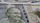 indian currency