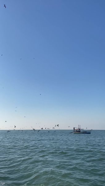 景泰蓝高清视频免费下载免费下载免费下载视频素材